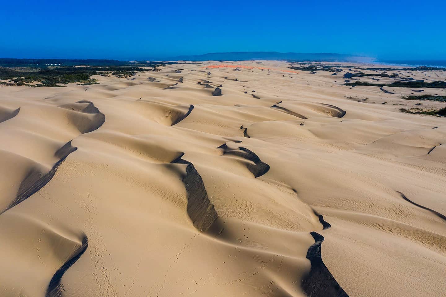 The Oceano Dunes along the Central Coast